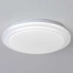 Потолочный светильник Reluce 03518-9.2-24W*2