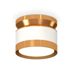 Потолочный светильник Ambrella Light Techno Spot XS8101060 (N8909, C8101, N8124)