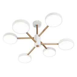 Потолочная светодиодная люстра Escada Astrid 10236/6LED