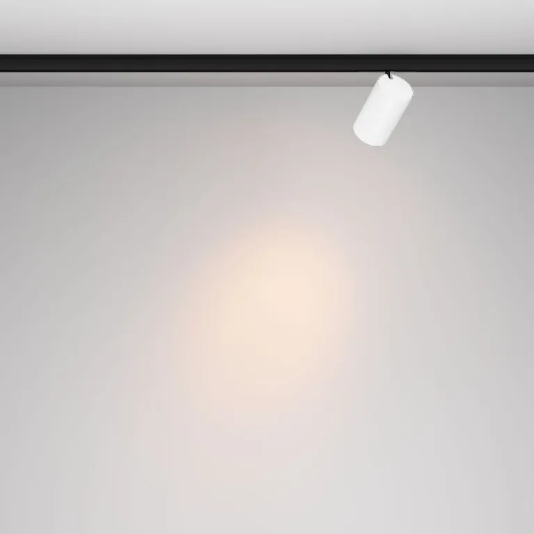 Трековый магнитный светильник Maytoni Focus Led TR187-1-5W2.7K-M-BW в Нижнем Новгороде