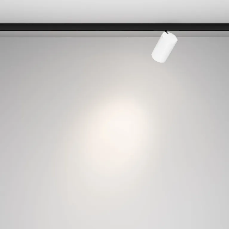 Трековый магнитный светильник Maytoni Focus Led TR187-1-5W4K-M-BW в Нижнем Новгороде