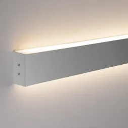 Настенный светодиодный светильник Elektrostandard LS-02-2-53-6500-MS 4690389117565