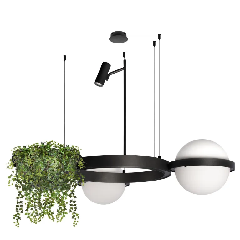 Подвесная люстра Loft IT Jardin 10121/2 в Нижнем Новгороде