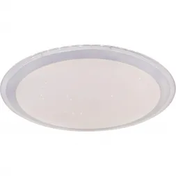 Потолочный светодиодный светильник Globo Carry 41354-30SH
