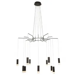Подвесная люстра Maytoni Davida MOD035PL-12B