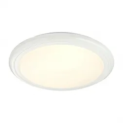 Потолочный светодиодный светильник Globo Rudi 48378-40RGB