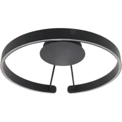 Потолочный светильник Mizi'en Leo MZ31371-600-PB