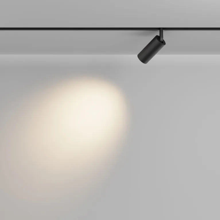 Трековый магнитный светильник Maytoni Focus Led TR032-2-5W2.7K-M-B в Нижнем Новгороде