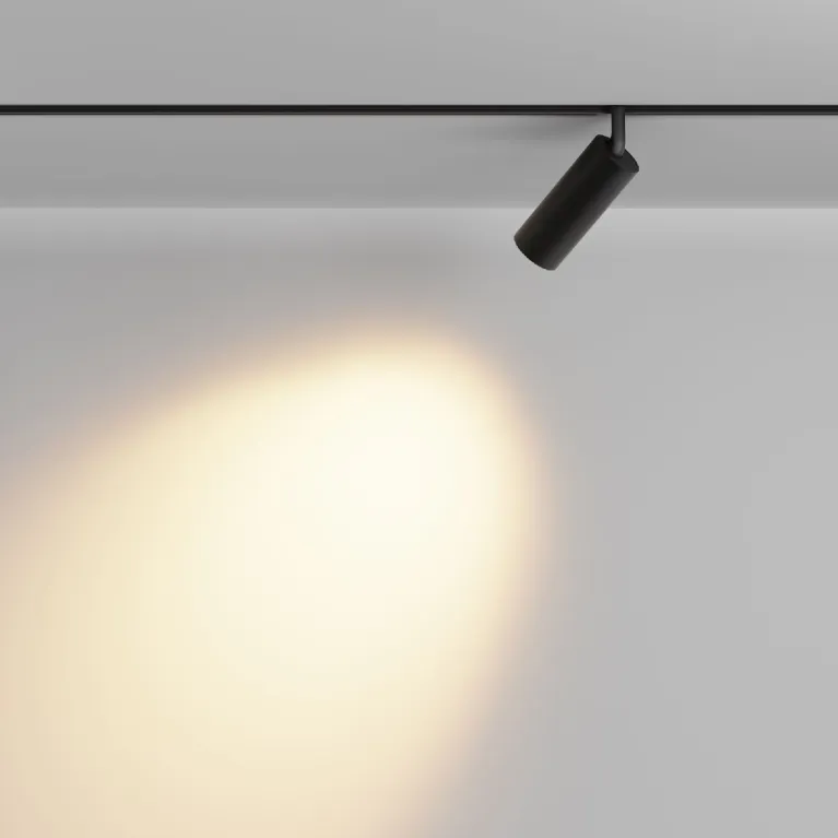 Трековый магнитный светильник Maytoni Focus Led TR032-2-12W2.7K-M-B в Нижнем Новгороде