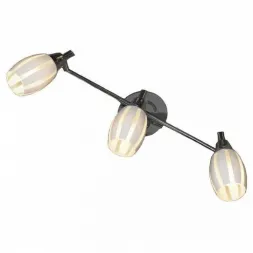 Спот Lussole Brindisi GRLSX-6701-03