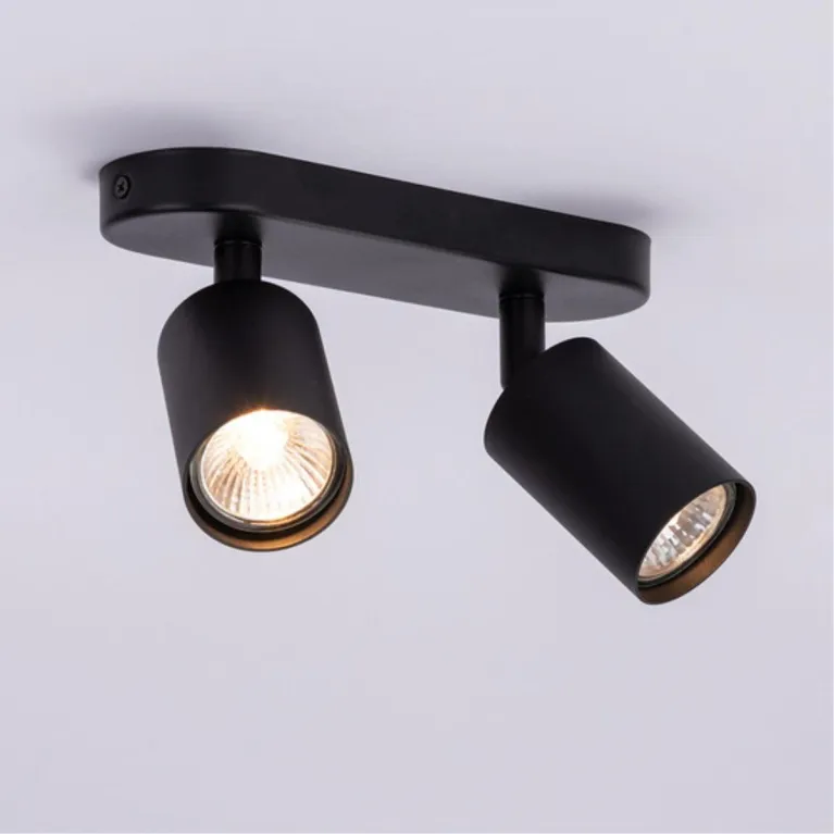 Спот Arte Lamp Aquarius A3226PL-2BK в Нижнем Новгороде