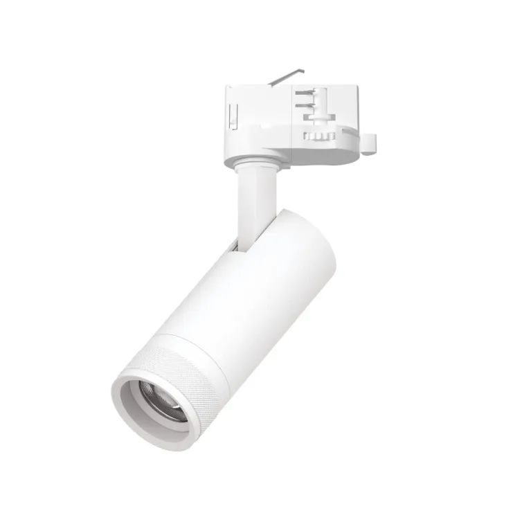 Трековый трехфазный светильник Quattro 20-55G с адаптером Lightstar Canno Pro C4126QT в Нижнем Новгороде