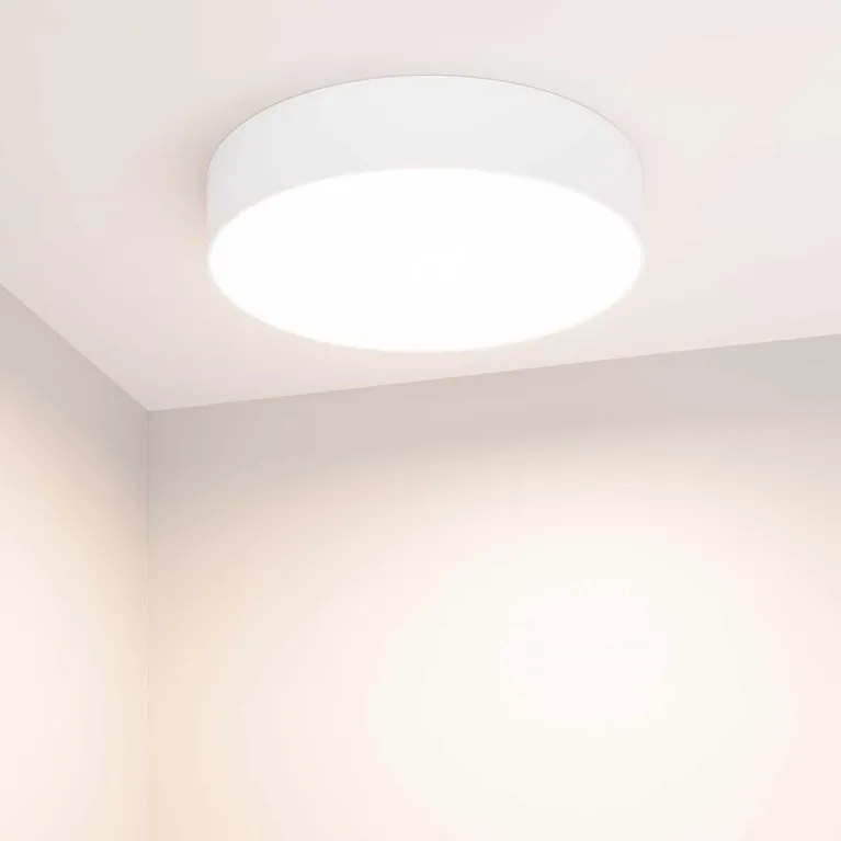 Потолочный светодиодный светильник Arlight IM-Rondo-Emergency-3H-R250-23W Day4000 041171 в Нижнем Новгороде