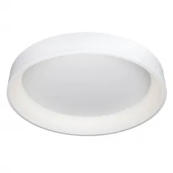 Потолочный светодиодный светильник Omnilux Ortueri OML-48507-96