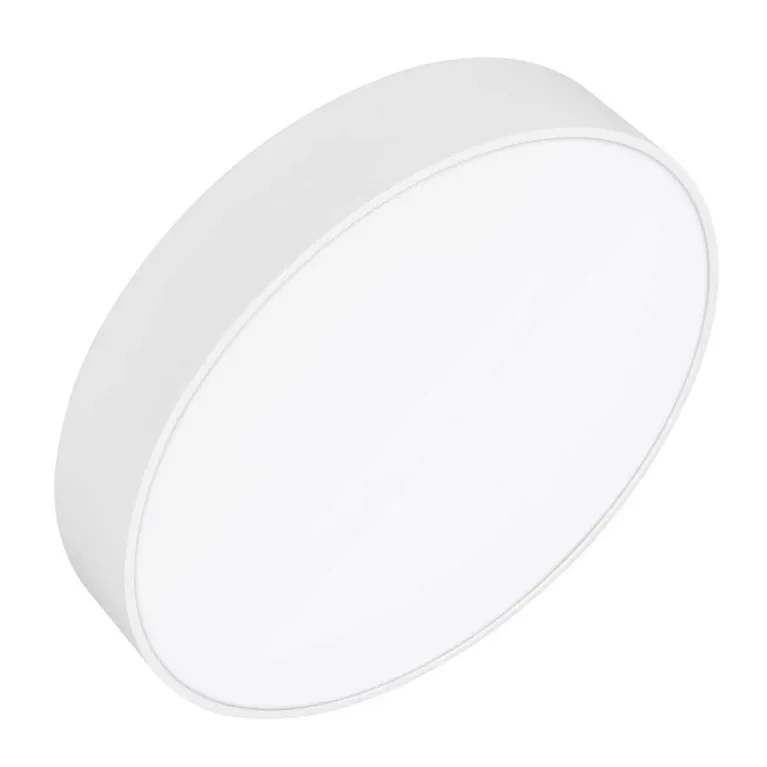 Потолочный светодиодный светильник Arlight IM-Rondo-Emergency-3H-R350-33W Day4000 041066 в Нижнем Новгороде