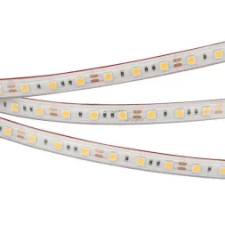Светодиодная лента Arlight RTW 2-5000PS 12V White6000 2x (5060, 300 LED, LUX) 022323