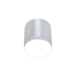 Накладной светильник Maytoni Polar C088CL-GX53-S