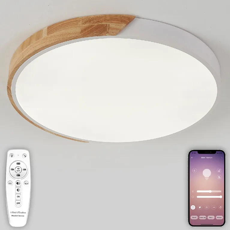 Потолочный светильник Natali Kovaltseva Scandinavian LED LAMPS 81182 в Нижнем Новгороде