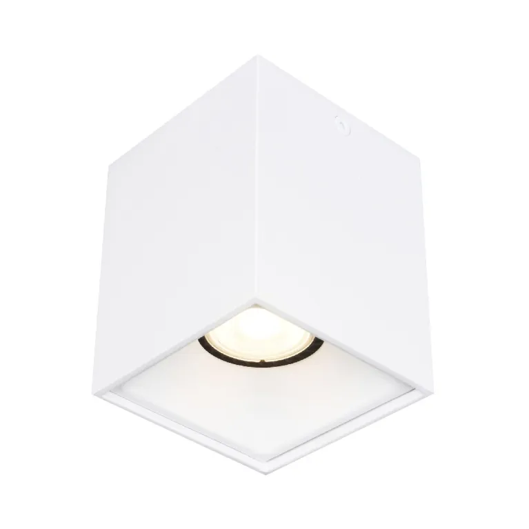 Накладной светильник ST Luce ST168.502.01 в Нижнем Новгороде