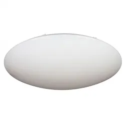 Потолочный светодиодный светильник Omnilux OML-43007-100