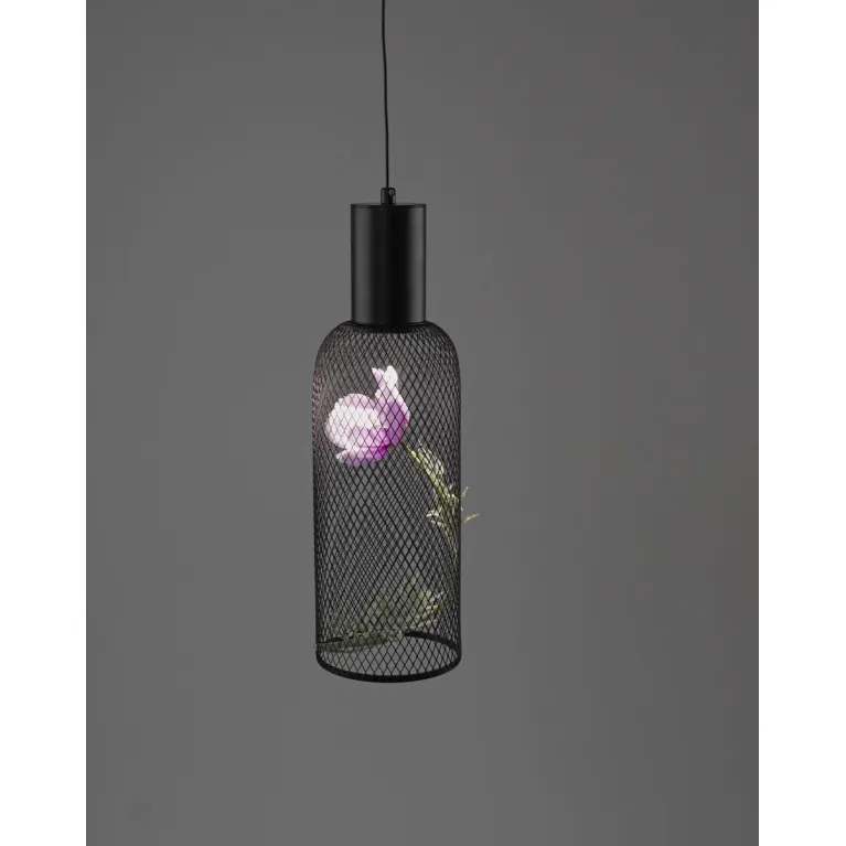 Подвесной светильник Moderli Ophelia V11873-PL в Нижнем Новгороде