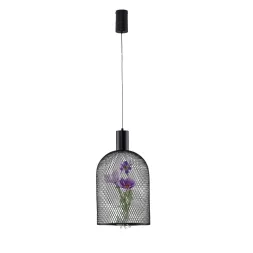 Подвесной светильник Moderli Ophelia V11875-PL