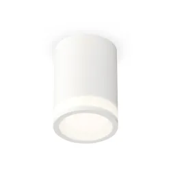 Потолочный светильник Ambrella Light Techno Spot XS7421021 (C7421, N7120)