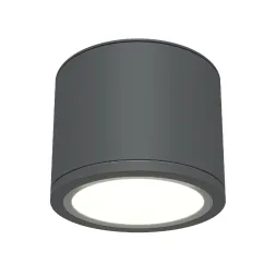 Накладной светильник Maytoni Rendo C095CL-GX53-GR