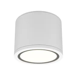 Накладной светильник Maytoni Rendo C095CL-GX53-W
