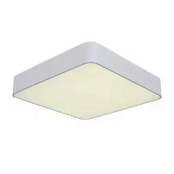 Потолочный светодиодный светильник ST Luce Presente SL955.502.01D