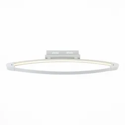 Потолочный светодиодный светильник ST Luce SL920.102.01