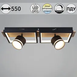 Потолочный светильник Reluce 19560-0.3-2+2 BK+WOOD