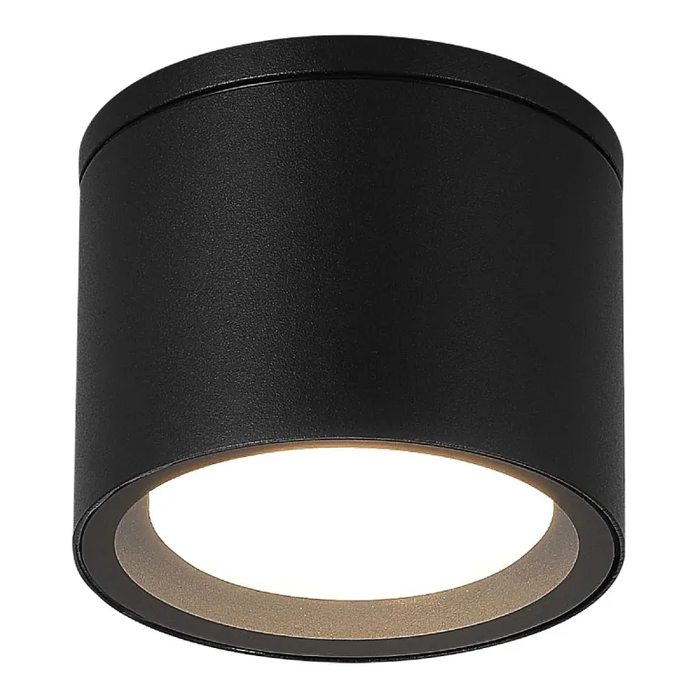 Уличный потолочный светильник ST Luce Tubo SL9006.402.01 в Нижнем Новгороде