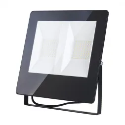 Прожектор светодиодный Elektrostandard 011 FL LED 100W 6500K 4690389126840