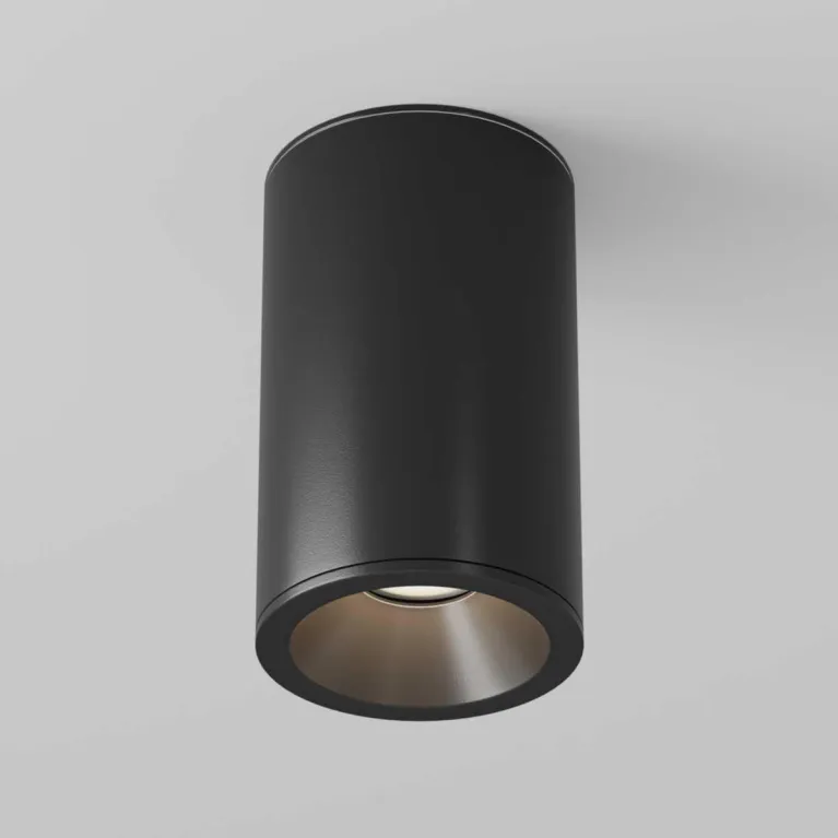 Потолочный светильник Maytoni Technical Zoom C029CL-01-S-B в Нижнем Новгороде