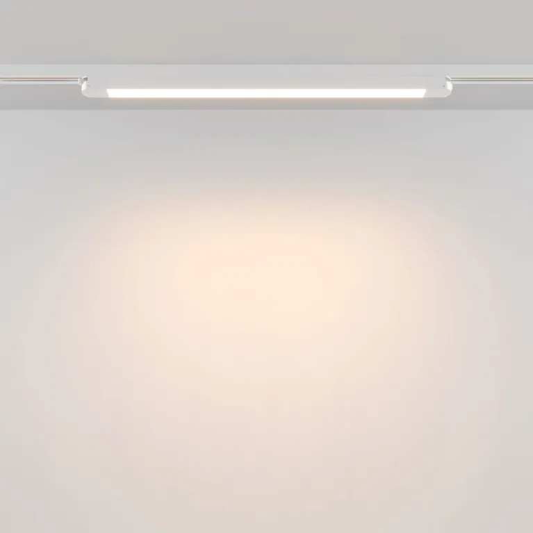 Трековый однофазный светильник Maytoni Technical Basis TR000-1-24W3K-W_1 в Нижнем Новгороде