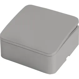 Выключатель двухклавишный Stekker София MSW10-10-03 49295