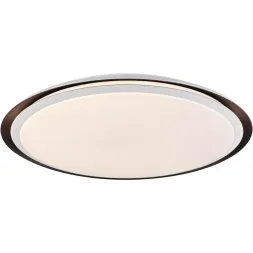 Потолочный светодиодный светильник Globo Xaver 41359-40RGBSH