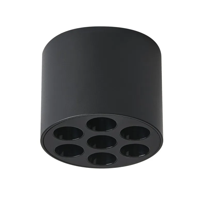 Потолочный светильник Lightstar Guarda 080647 в Нижнем Новгороде