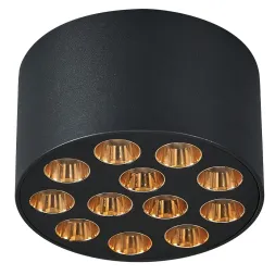 Потолочный светильник Lightstar Guarda 080942