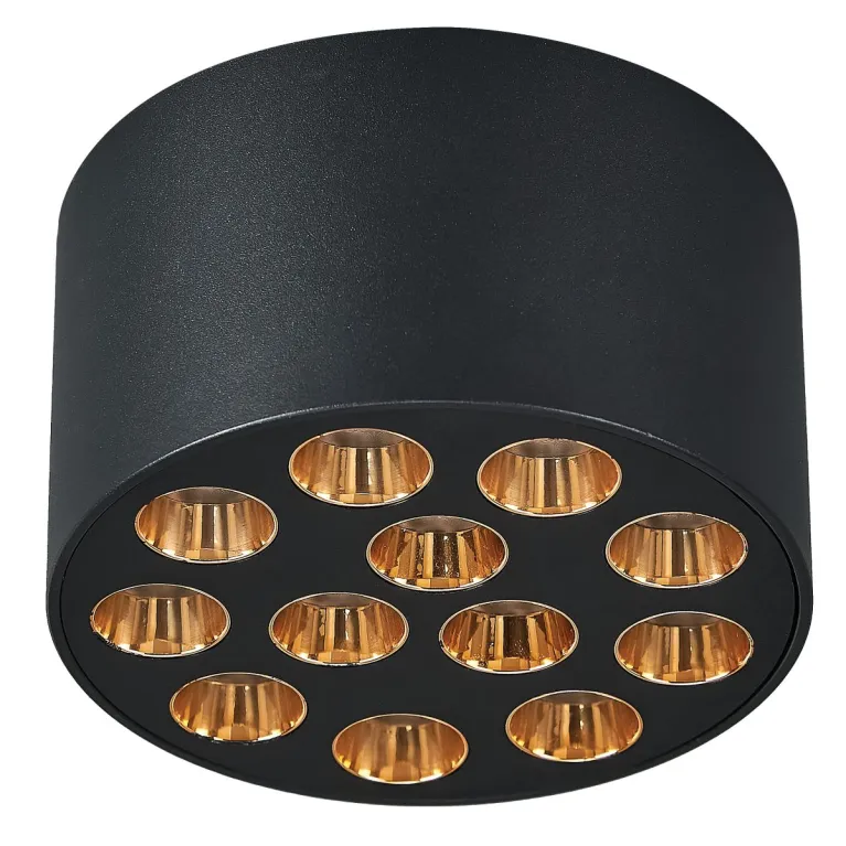 Потолочный светильник Lightstar Guarda 080942 в Нижнем Новгороде