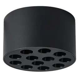 Потолочный светильник Lightstar Guarda 080947