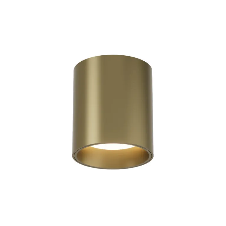 Накладной светильник Denkirs Shine tube DK2610-SB в Нижнем Новгороде