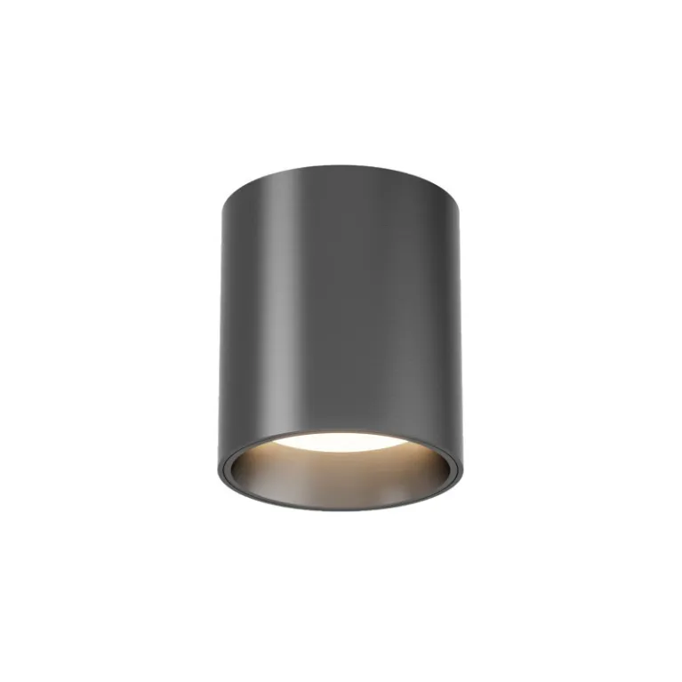 Накладной светильник Denkirs Shine tube DK2610-DN в Нижнем Новгороде