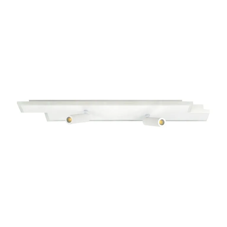 Потолочный светильник Escada 20047led 20047SMA/02LED WH в Нижнем Новгороде
