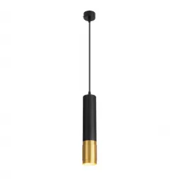 Подвесной светильник Elektrostandard DLN108 GU10 черный/золото 4690389148651