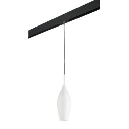 Трековый светильник Lightstar Pentola PRO803020 (803020+595007)