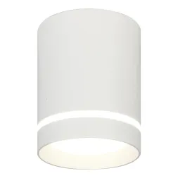Потолочный светодиодный светильник Escada 20009SMU/01LED SWH