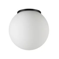 Уличный потолочный светильник Odeon Light Nature Viva 7124/1C