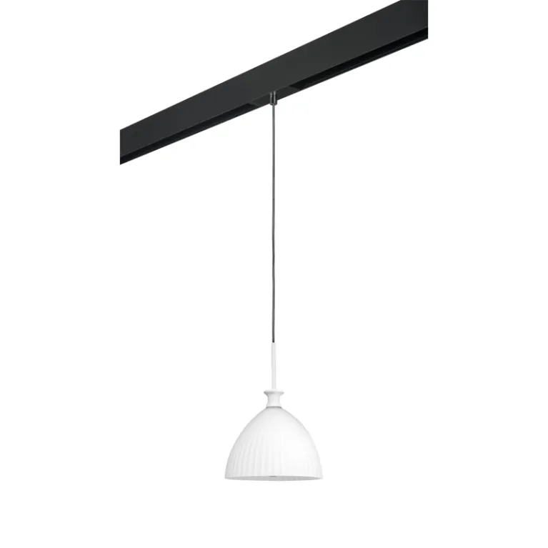 Трековый светильник Lightstar Agola PRO810020 (810020+595007) в Нижнем Новгороде